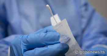 COVID-19: 895 cases in Saskatchewan reported, deaths increase - Global News