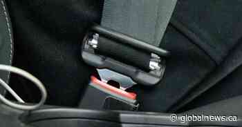 Saskatchewan police issue 262 tickets for people not buckled up properly: SGI - Global News