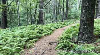 After A Hike On Rhode Island’s Powder Mill Ledges Trail, Board A Rail Explorer For A Memorable Adventure - Only In Your State