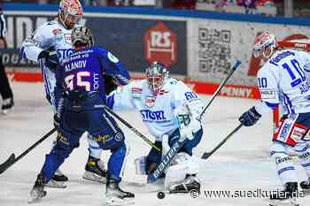 Wild Wings feiern wichtigen Sieg gegen die Iserlohn Roosters | SÜDKURIER Online - SÜDKURIER Online