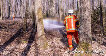 A73 bei Zapfendorf: Großes Waldstück im Kreis Bamberg fängt Feuer - Feuertonne schuld? - inFranken.de