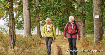 Wandern rund um Nürnberg, Bamberg und Würzburg: Die 10 schönsten Touren im fränkischen Steigerwald - inFranken.de