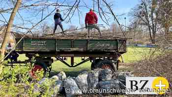 Der SV Lengede putzt – und hat Redebedarf bei der Skateranlage