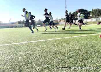 Siena: seduta tattica al “Bertoni”, Meli ancora a parte - Il Cittadino on line