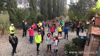 ’In cammino per il suolo’ fa tappa a Siena Tutti in viaggio con il gruppo SiCammina - LA NAZIONE