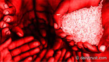 Singing For Food - By: Fatima DAMAGUM - Daily Trust