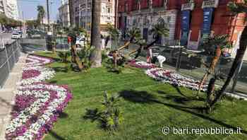 Bari, nuovo look per corso Cavour: pronte le due aiuole storiche davanti al Petruzzelli - La Repubblica