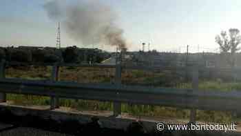 Nuovo rogo di rifiuti a Bari: fiamme nelle vicinanze della zona industriale - BariToday