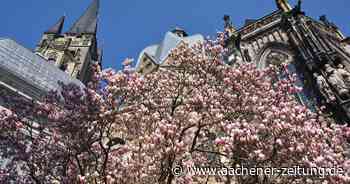 Tourismus in Aachen: Mit Zuversicht und Ideen die Touristen zurückgewinnen - Aachener Zeitung