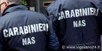 Mortara: irregolarità nella gestione del personale e cibi mal conservati, sanzionato un ristorante cinese - Vigevano24.it