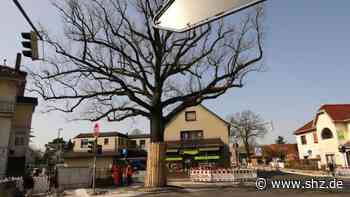 Schenefeld: So soll der Sülldorfer Weg Pilotprojekt für Fahrradstraßen werden | shz.de - shz.de
