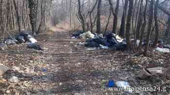Rifiuti nei boschi a Samarate, M5S: «Ora basta. Si delimitino gli accessi» - MALPENSA24 - malpensa24.it