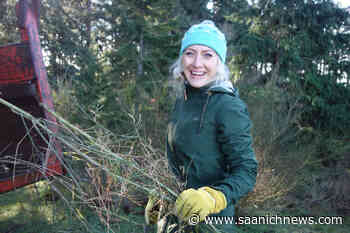 Restoration efforts happening in ecosystem near University of Victoria – Saanich News - Saanich News
