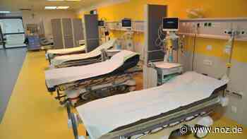 Aus Praktika soll mehr werden: Marien-Hospital in Papenburg für Arztausbildung mit Uni Groningen - NOZ