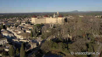 Château de Castries : Le petit Versailles du Languedoc - ViàOccitanie