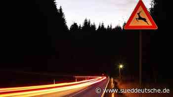 Verkehr - Feldkirchen - Jagdverband warnt vor mehr Wildunfällen nach Zeitumstellung - Bayern - Süddeutsche Zeitung - SZ.de