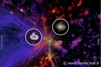 Thesan, la migliore simulazione dell’alba cosmica - Media Inaf