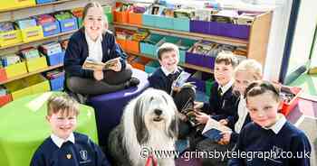 Meet Old English Sheepdog Ziggy who is helping these children read - Grimsby Live