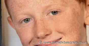 Boy aged nine killed by falling tree while on pheasant shoot - Grimsby Live