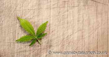 One in 15 people admit getting high during Covid-19 pandemic - Grimsby Live - Grimsby Live