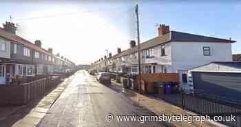 100 cannabis plants discovered inside Grimsby property - Grimsby Live