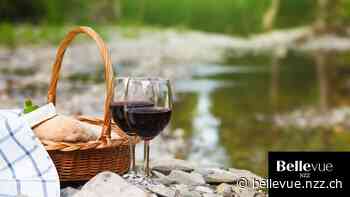 Tessiner Weine: Es muss nicht immer Merlot sein - NZZ Bellevue