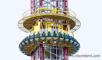 Did Teen's Big Size Factor in Florida Amusement Ride Death?