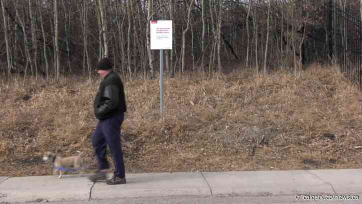 'It's obvious': Catholic parents continue to push for a high school in west Calgary