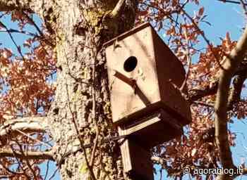 Noci. Azioni di conservazione della fauna selvatica a Bosco Giordanello - AgoraBlog