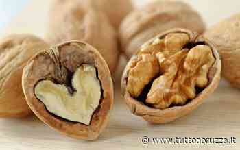 Perchè mangiare le noci: tutto quello che accade al tuo corpo e non sai - TuttoAbruzzo.it