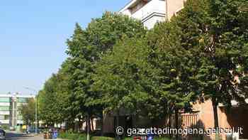 Emergenza casa, anche Carpi soffre Aiuti per gli affitti e tutor per i più deboli - La Gazzetta di Modena