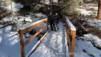 Lion Gulch Trail off U.S. 36 has gorgeous forest views - Greeley Tribune