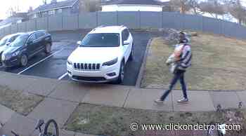 St. Clair Shores police search for person of interest in string of larcenies - WDIV ClickOnDetroit