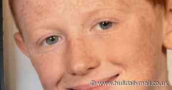 Boy, nine, killed by falling tree on pheasant shoot - Hull Live