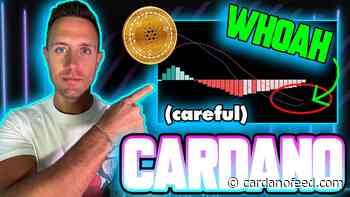 THIS CARDANO MOMENTUM SHIFT COULD CHANGE THE GAME FOR ADA! - Cardano Feed