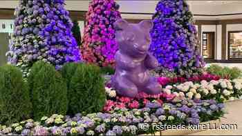 The Galleria Floral Experience returns to Edina with a sugar-coated twist