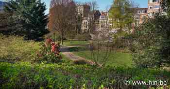 Ontdek acht verborgen groene parels in Brussel: van rustgevende oases tot parkjes met unieke planten en bomen - Het Laatste Nieuws