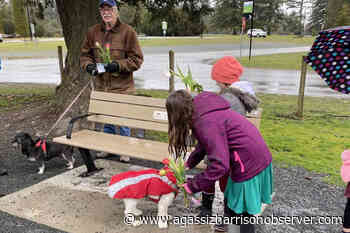 Chilliwack kids spread warmth on rainy day with 'kindness project' – Agassiz Harrison Observer - Agassiz Harrison Observer