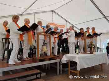 Nach Corona-Pause: Chöre im Kreis wollen wieder singen - Landkreis Stade - Tageblatt-online