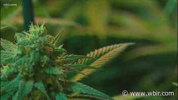 Tennessee bill creating framework for medical marijuana program passes House subcommittee - WBIR.com