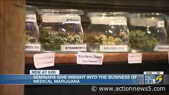 Medical marijuana now legal in Mississippi, but you can't buy it just yet! - Action News 5