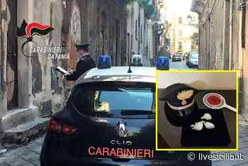 Catania, la settantenne che spacciava cocaina: arrestata - Livesicilia.it
