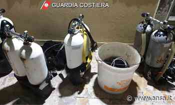 Pesca di frodo,Guardia costiera Catania sanziona quattro sub - Agenzia ANSA