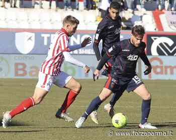 Palmiero: "Concentrati sul Parma poi penseremo alle prossime partite" - Forza Parma