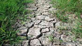 A Parma è allarme siccità, i Cinquestelle: "Risorse in diminuzione e consumi in aumento, serve un piano-acqua del governo" - ParmaToday