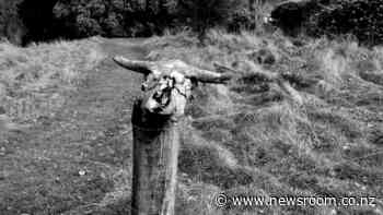 Short story: In the valley, by Fergus Porteous - Newsroom