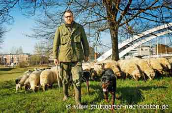 Tibor Wodetzky aus Ostfildern: Hirten wird Tierquälerei vorgeworfen - Stuttgarter Nachrichten