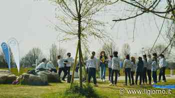 Lezione sull’acqua ai bambini Il Parco anti-alluvione di Arcore spiegato alla Yies School di Vedano - IL GIORNO