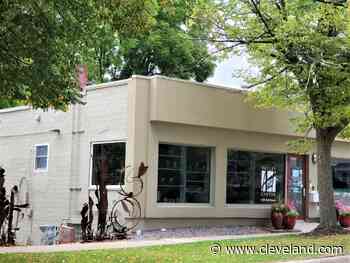 Chagrin Arts book club focuses on legacy of local author and racial divide: Valley Views - cleveland.com