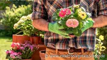 Technik-Gadgets Zwölf Technik-Gadgets für den Garten - Elektronikpraxis